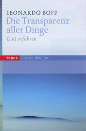 Boff |  Die Transparenz aller Dinge | Buch |  Sack Fachmedien