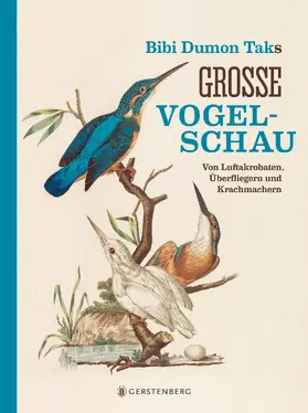 Dumon Tak |  Bibi Dumon Taks große Vogelschau | Buch |  Sack Fachmedien