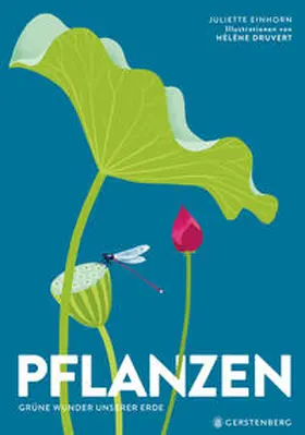 Druvert / Einhorn |  Pflanzen | Buch |  Sack Fachmedien