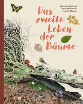 Michno / Miserocchi |  Das zweite Leben der Bäume | Buch |  Sack Fachmedien