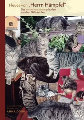 Dorb |  Neues von "Herrn Hämpfel" | Buch |  Sack Fachmedien