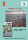 Rosenthal / Bronzi / Spezia |  Passages for Fish | Buch |  Sack Fachmedien