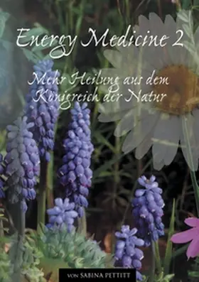 Sann / Pettitt |  Energy Medicine 2 | Buch |  Sack Fachmedien