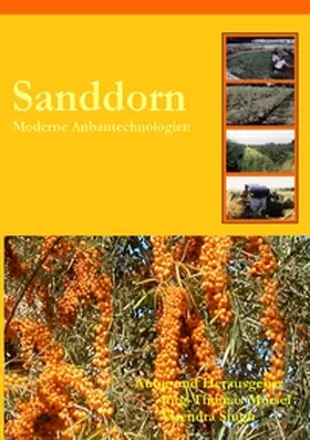 Mörsel / Singh |  Sanddorn | Buch |  Sack Fachmedien