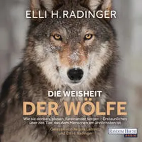Radinger |  Die Weisheit der Wölfe | Sonstiges |  Sack Fachmedien
