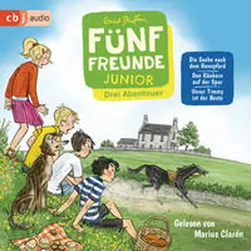 Blyton |  Fünf Freunde JUNIOR - Drei Abenteuer - Die Suche nach dem Rennpferd. Den Räubern auf der Spur. Unser Timmy ist der Beste | Sonstiges |  Sack Fachmedien