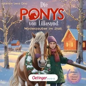 Orso |  Die Ponys von Lillasund 3. Winterzauber im Stall | Sonstiges |  Sack Fachmedien