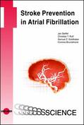 Steffel / Ruff / Goldhaber |  Stroke Prevention in Atrial Fibrillation | eBook | Sack Fachmedien