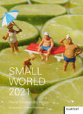  Small World 2021 | Sonstiges |  Sack Fachmedien