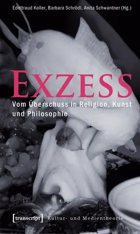 Koller / Schrödl / Schwantner | Exzess | Buch | 978-3-8376-1192-2 | sack.de