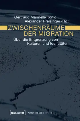 Marinelli-König / Preisinger |  Zwischenräume der Migration | Buch |  Sack Fachmedien
