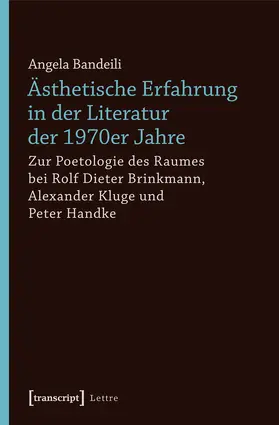 Bandeili |  Ästhetische Erfahrung in der Literatur der 1970er Jahre | Buch |  Sack Fachmedien