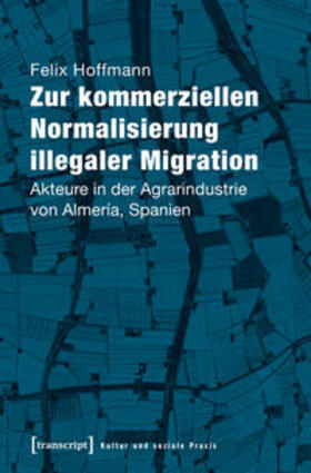 Hoffmann |  Zur kommerziellen Normalisierung illegaler Migration | Buch |  Sack Fachmedien
