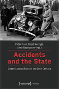 Itzen / Metzger / Rasmussen |  Accidents and the State | Buch |  Sack Fachmedien