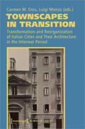 Enss / Monzo |  Townscapes in Transition | Buch |  Sack Fachmedien