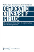 Bayer / Schwarz / Stark |  Democratic Citizenship in Flux | Buch |  Sack Fachmedien