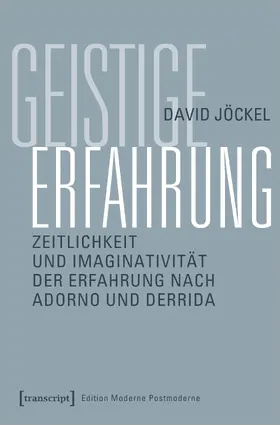 Jöckel |  Geistige Erfahrung | Buch |  Sack Fachmedien