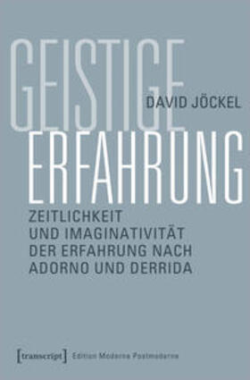 Jöckel | Jöckel, D: Geistige Erfahrung | Buch | 978-3-8376-5231-4 | sack.de