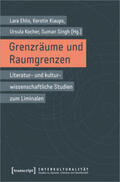 Ehlis / Kiaups / Kocher |  Grenzräume und Raumgrenzen | Buch |  Sack Fachmedien