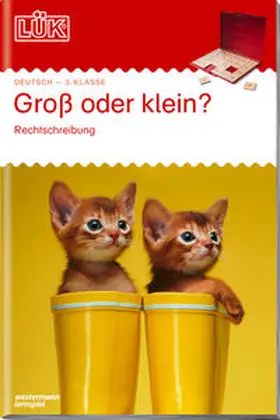  LÜK. Groß- oder klein?: Groß-und Kleinschreibung | Buch |  Sack Fachmedien