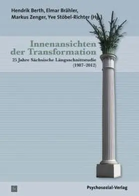 Berth / Brähler / Zenger |  Innenansichten der Transformation | Buch |  Sack Fachmedien