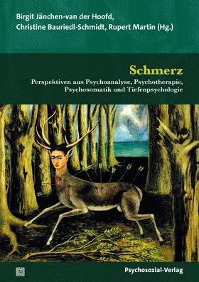 Jänchen-van der Hoofd / Bauriedl-Schmidt / Martin |  Schmerz | Buch |  Sack Fachmedien