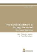 Schmitt |  Two-Particle Excitations in Strongly Correlated Electron Systems | Buch |  Sack Fachmedien