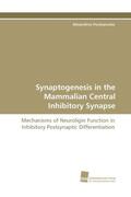 Poulopoulos |  Synaptogenesis in the Mammalian Central Inhibitory Synapse | Buch |  Sack Fachmedien