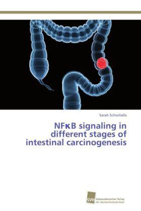Schwitalla |  NF¿B signaling in different stages of intestinal carcinogenesis | Buch |  Sack Fachmedien