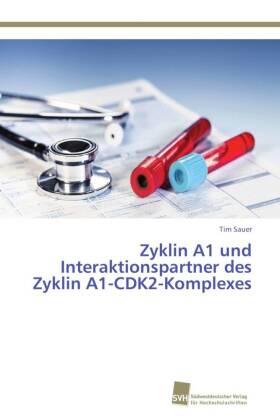 Sauer |  Zyklin A1 und Interaktionspartner des Zyklin A1-CDK2-Komplexes | Buch |  Sack Fachmedien