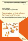 Sagebiel / Krieger |  Sagebiel, J: Teamberatung in Unternehmen, Verbänden und Vere | Buch |  Sack Fachmedien