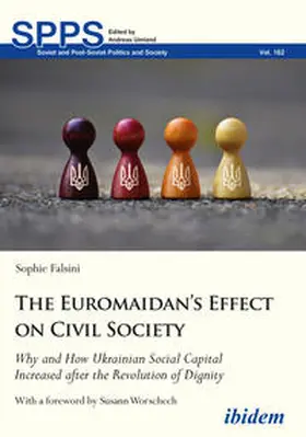 Falsini |  The Euromaidan's Effect on Civil Society | Buch |  Sack Fachmedien