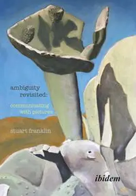 Franklin |  Ambiguity Revisited | Buch |  Sack Fachmedien