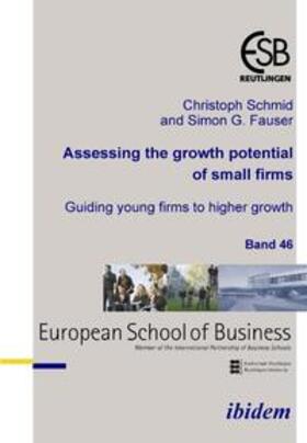 Schmid / Fauser | Assessing the growth potential of small firms | E-Book | sack.de