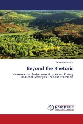 Persson |  Beyond the Rhetoric | Buch |  Sack Fachmedien