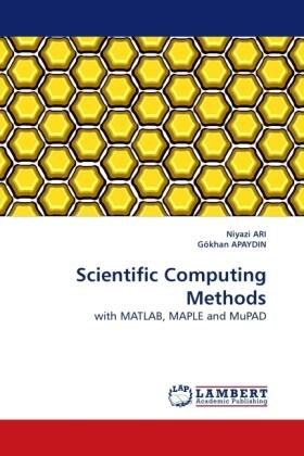 Ari / Apaydin |  Scientific Computing Methods | Buch |  Sack Fachmedien