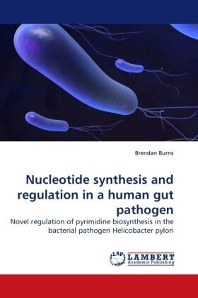 Burns |  Nucleotide synthesis and regulation in a human gut pathogen | Buch |  Sack Fachmedien