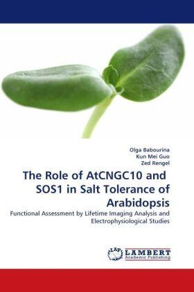 Babourina / Mei Guo / Rengel |  The Role of AtCNGC10 and  SOS1 in Salt Tolerance of Arabidopsis | Buch |  Sack Fachmedien