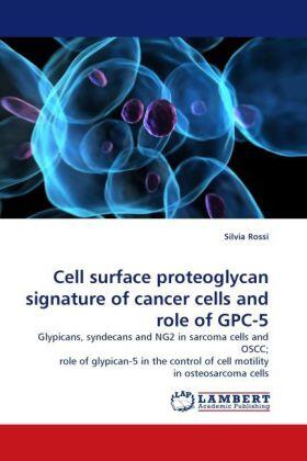 Rossi |  Cell surface proteoglycan signature of cancer cells and role of GPC-5 | Buch |  Sack Fachmedien