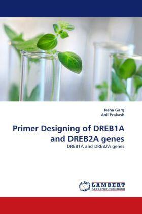 Garg / Prakash |  Primer Designing of DREB1A and DREB2A genes | Buch |  Sack Fachmedien