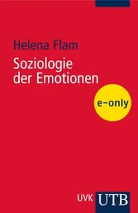 Flam |  Soziologie der Emotionen | eBook | Sack Fachmedien