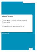 Schneider |  Konvergenz zwischen Internet und Fernsehen | Buch |  Sack Fachmedien