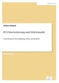 Schmid |  EU-Osterweiterung und Arbeitsmarkt | Buch |  Sack Fachmedien