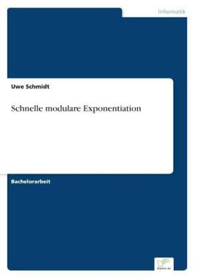 Schmidt | Schnelle modulare Exponentiation | Buch | 978-3-8386-8925-8 | sack.de