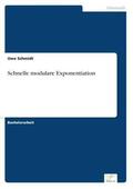 Schmidt |  Schnelle modulare Exponentiation | Buch |  Sack Fachmedien