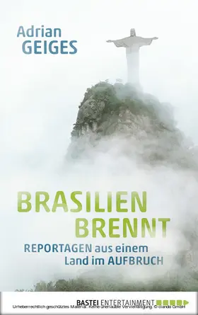 Geiges |  Brasilien brennt | eBook | Sack Fachmedien