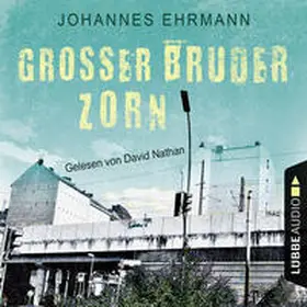 Ehrmann |  Großer Bruder Zorn | Sonstiges |  Sack Fachmedien