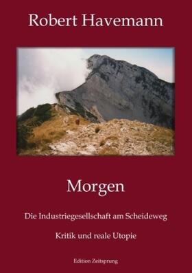 Havemann / Ferst |  Morgen | Buch |  Sack Fachmedien