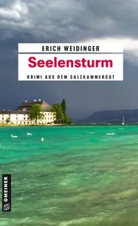 Weidinger |  Seelensturm | eBook | Sack Fachmedien