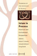 Arnason / Salvatore / Stauth |  Islam in Process | eBook | Sack Fachmedien